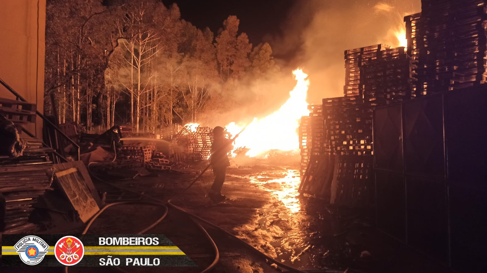 Fogo atingiu uma área de 2.500 m² Divulgação/Corpo de Bombeiros 