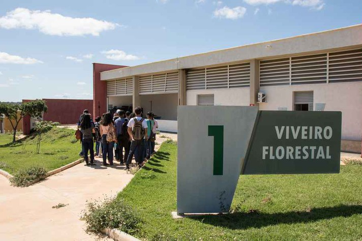 Viveiro Florestal no campus Montes Claros Lucas Braga / UFMG