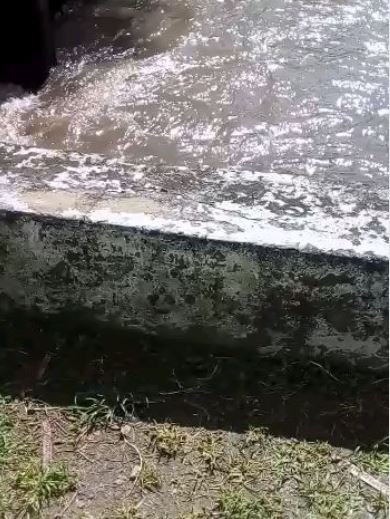 Esgoto é despejado nas praias do Flamengo e de Botafogo, na Zona Sul do Rio Reprodução