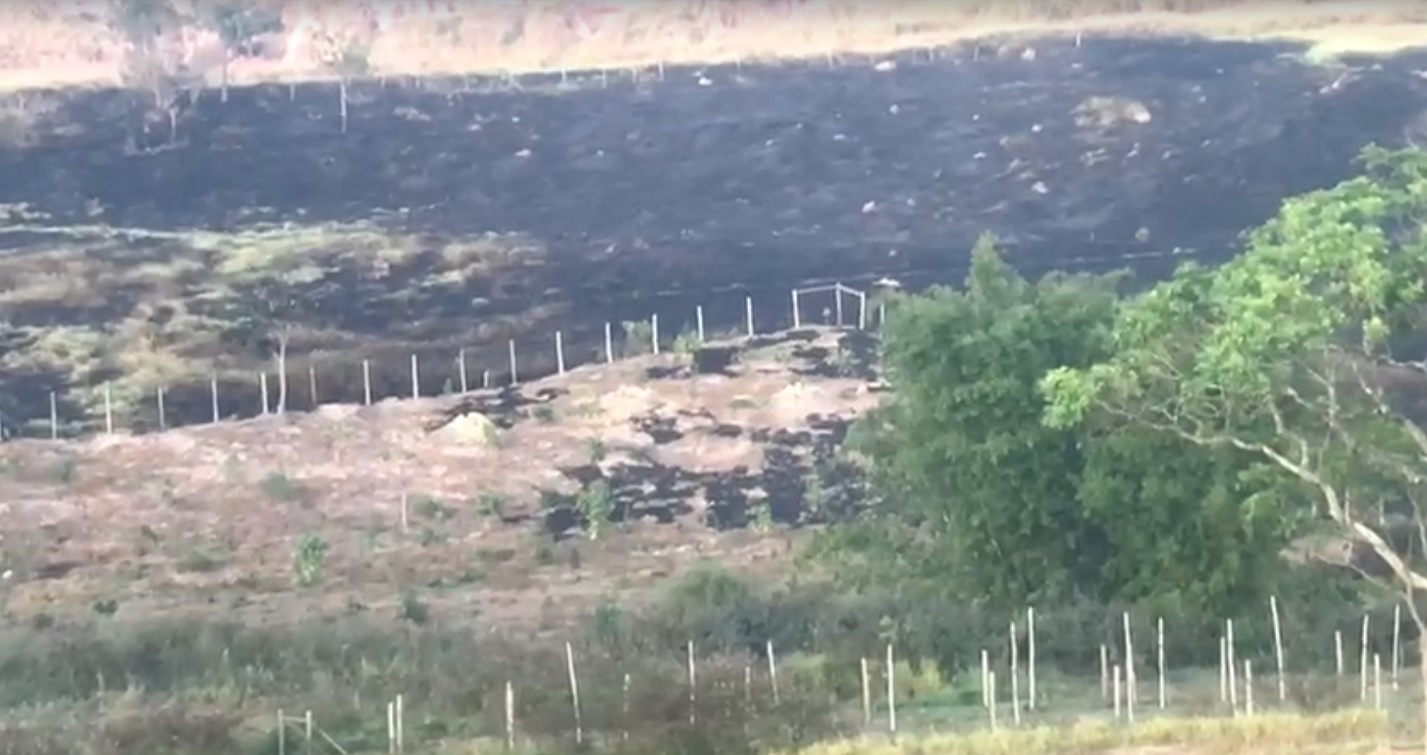 Bombeiros controlam queimada que quase atingiu área de reflorestamento em Guará