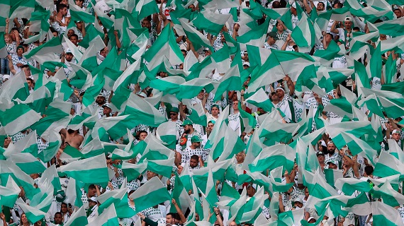 Palmeiras se manifesta sobre comercialização irregular de ingressos Palmeiras