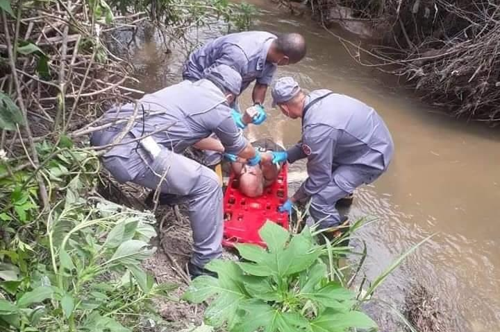 Idoso é resgatado dentro de rio no bairro Jardim Ana Rosa, em Taubaté Divulgação