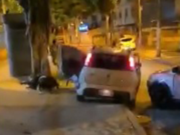 Carro invade praça e atropela pedestres no Rio de Janeiro Reprodução