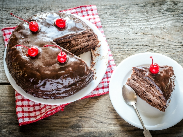 Bolo de chocolate, de frutas... Encontre várias opções para se deliciar no doce Envato Elements