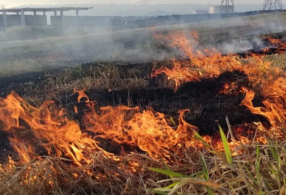 Defesa Civil atende quatro chamados de fogo em vegetação em Taubaté