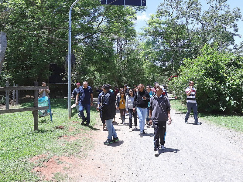 Bolsistas se despedem do curso com trilha pelo parque Divulgação/Fernanda Sunega