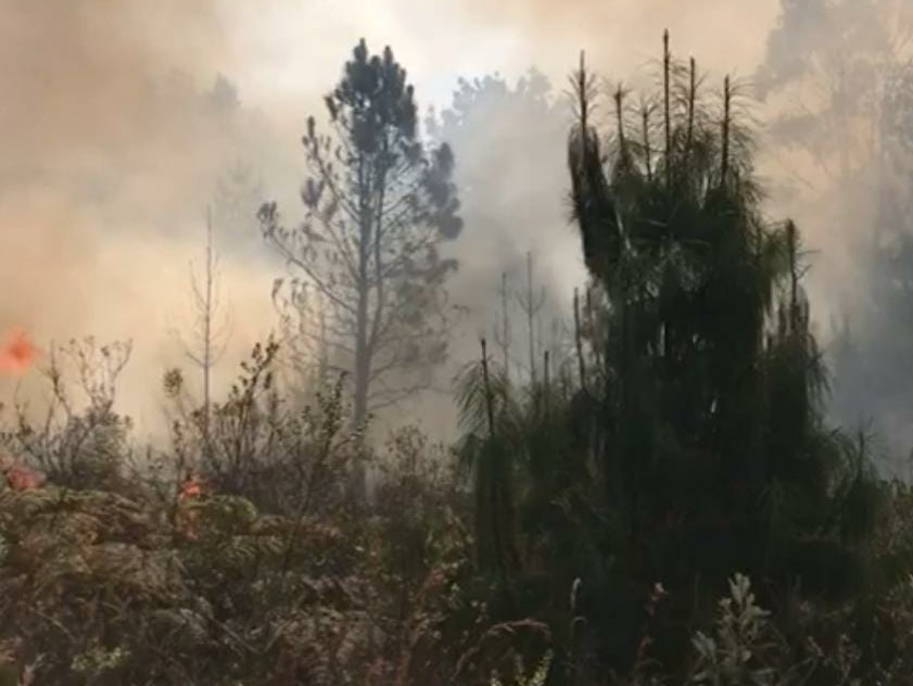 Bombeiros combatem incêndio no cume da Pedra do Baú, em São Bento do Sapucaí Wander Vieira/Defesa Civil