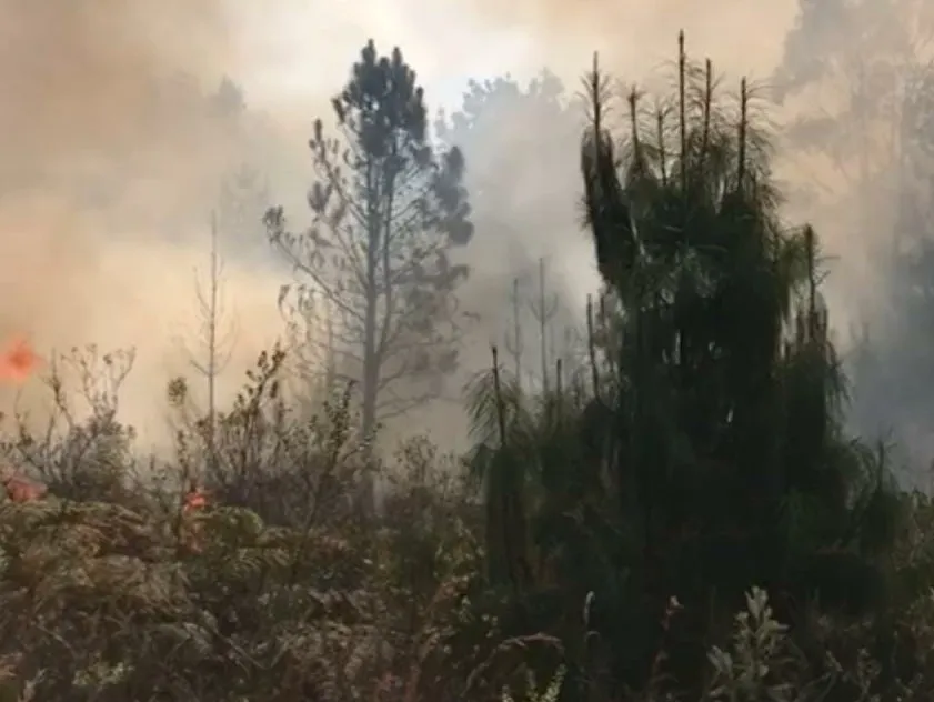 Bombeiros combatem incêndio no cume da Pedra do Baú, em São Bento do Sapucaí
