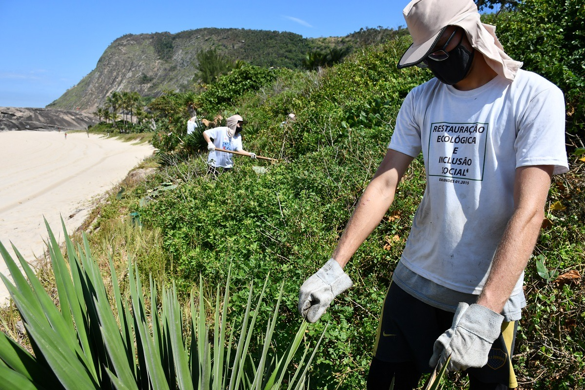 Ações incluíram plantio de mudas, limpeza de lixo e remoção de espécies invasoras Reprodução/Prefeitura de Niterói