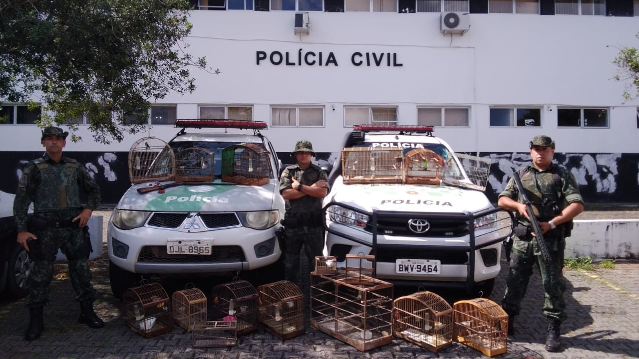 Homem é preso por posse ilegal de arma de fogo e drogas na cidade de Cruzeiro Divulgação/ PM AMbiental