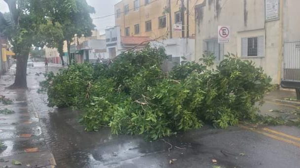 Defesa Civil de São José dos Campos registra mais de 70 chamados após tempestade Divulgação/ QAP-QRV