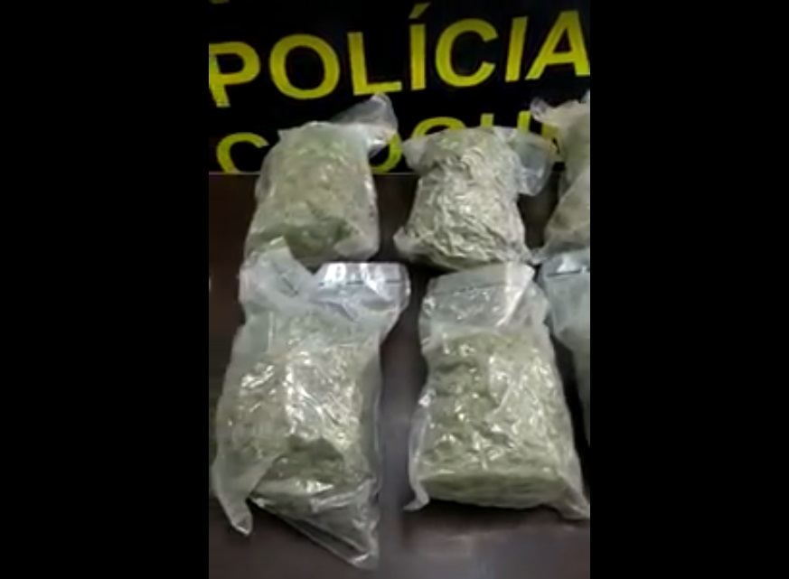 Doze pacotes com maconha foram apreendidos Divulgação/Polícia Militar