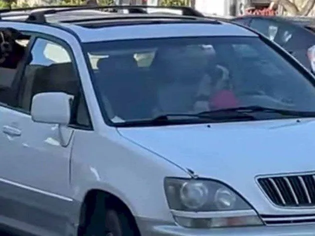 Vídeo viral registra cachorro buzinando dentro de veículo para a ‘dona se apressar’