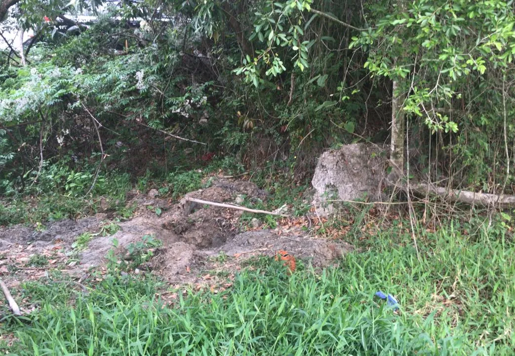 Polícia encontrou ossada em uma cava rasa no bairro Vila Paraíso, em Caçapava