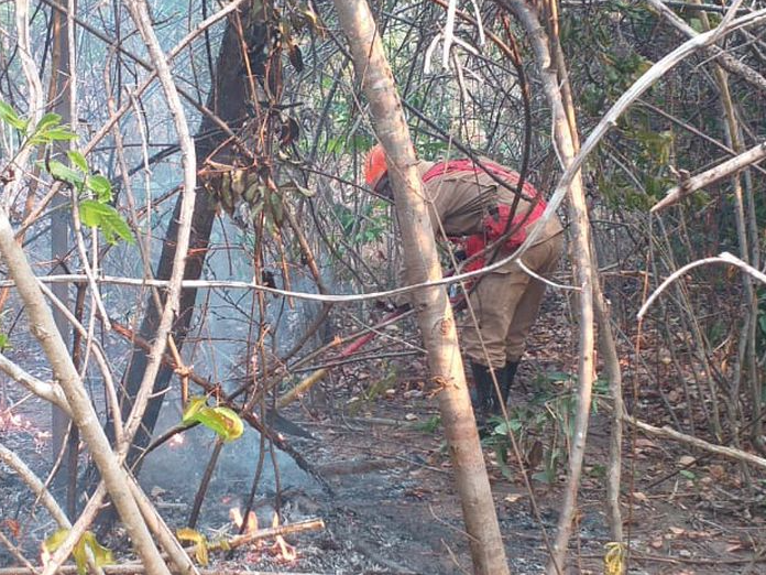 Os incêndios na Chapada dos Veadeiros e no Parque Estadual de Terra Ronca foram extintos no fim de semana. Foto: Divulgação/Corpo de Bombeiros de Goiás 