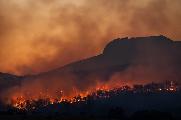 A elevação terá impacto direto no agravamento e na maior frequência de fenômenos climáticos extremos Foto: Reprodução/Matt Palmer/Unsplash