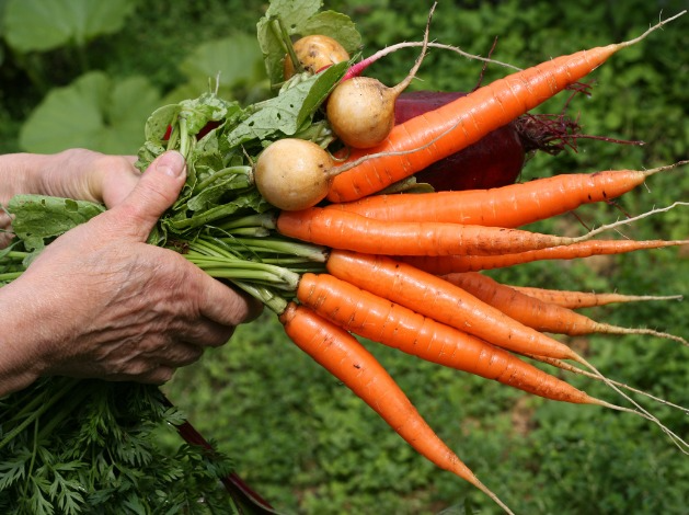 Consumo de alimentos orgânicos cresce no país Fonte: Canva, 2023.