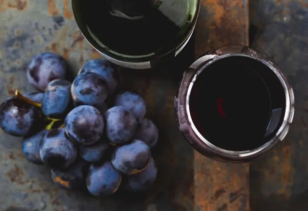 Tempranillo: conheça as características dessa famosa uva espanhola