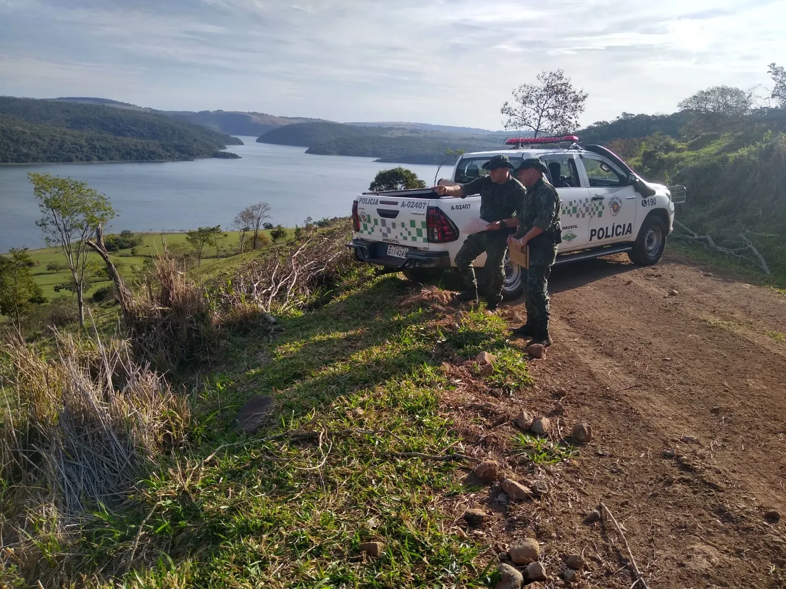 A polícia constatou o corte de 27 espécies