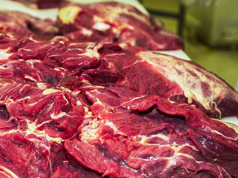 Ministra da agricultura prevê fim do embargo chinês sobre carne brasileira