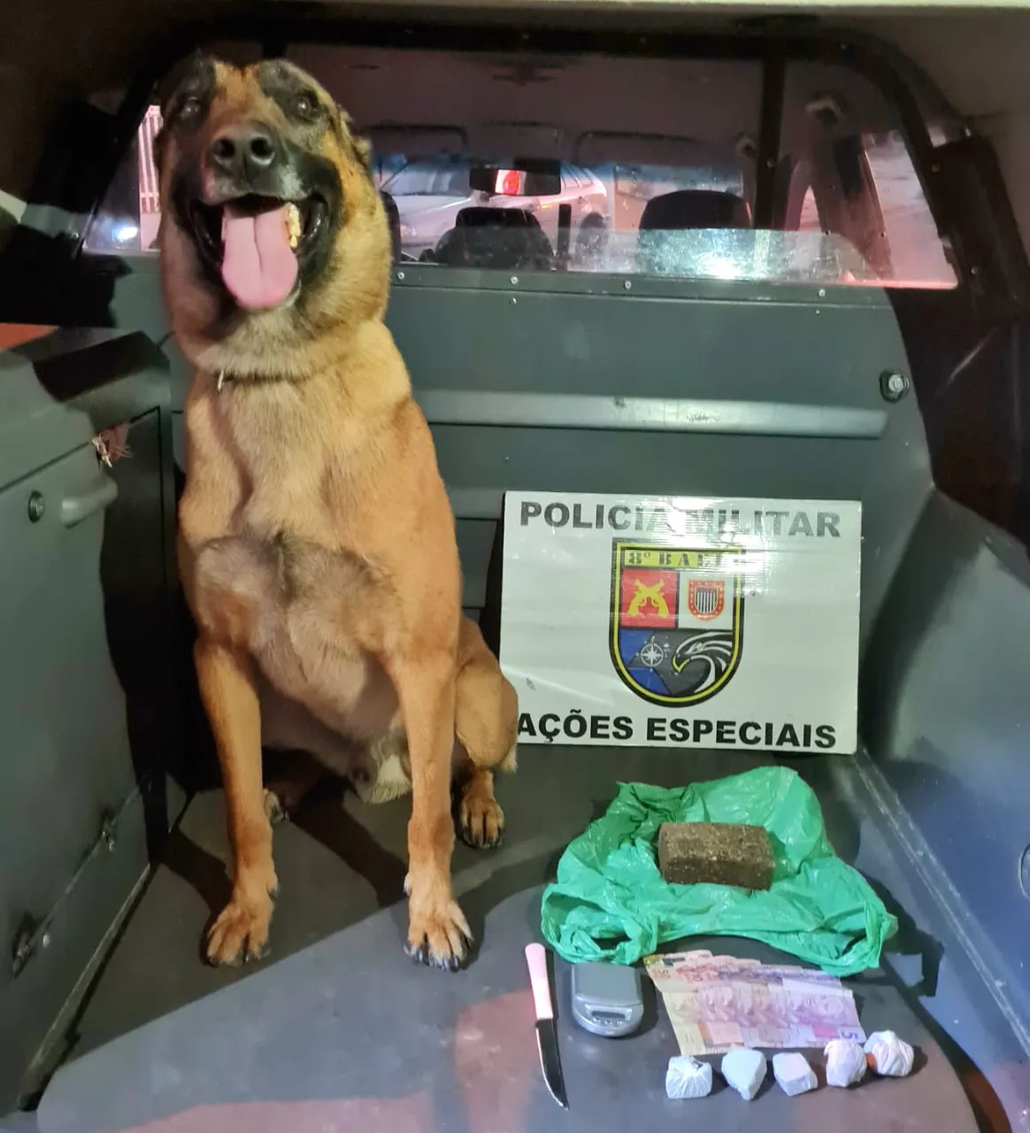 O cão farejador ajudou nas buscas pelas drogas