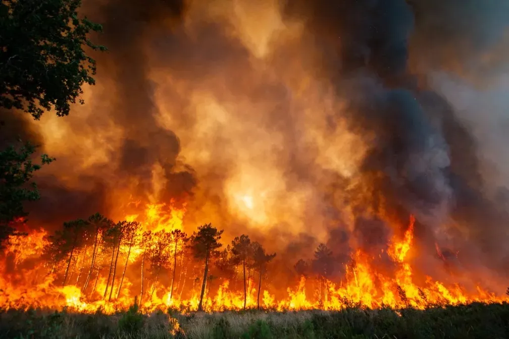 Entre as áreas mais atingidas pelos incêndios florestais, está a Península Ibérica. 