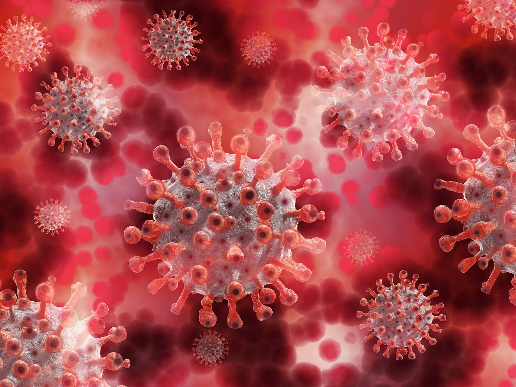 Japão anuncia ter encontrado variante do coronavírus em viajantes que estiveram no Brasil Pixabay/Reprodução
