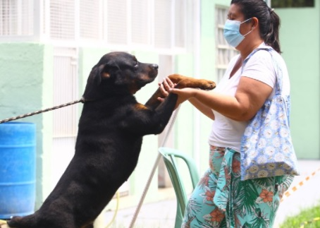 Feira de adoção acontece no sábado (23) Divulgação/PMSJC