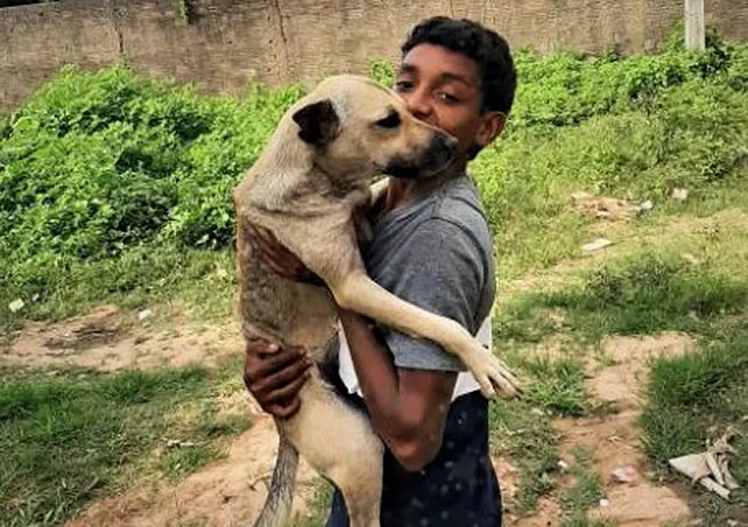 Cachorrinha que perseguia garoto é adotada por ele no Ceará
