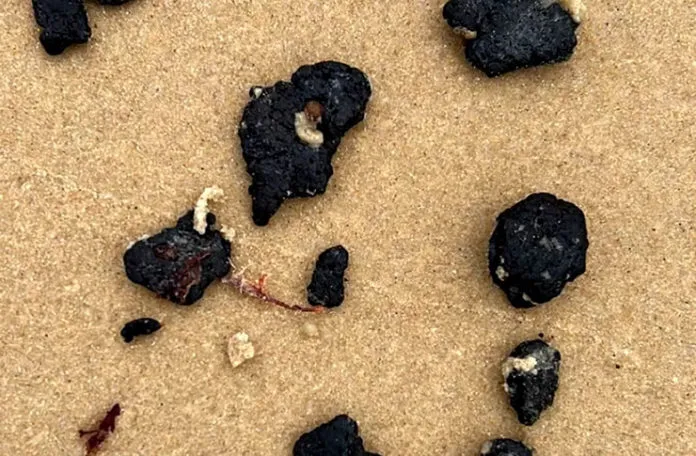 Os fragmentos foram encontrados nos últimos dias nas praias Parracho e Araçaípe.