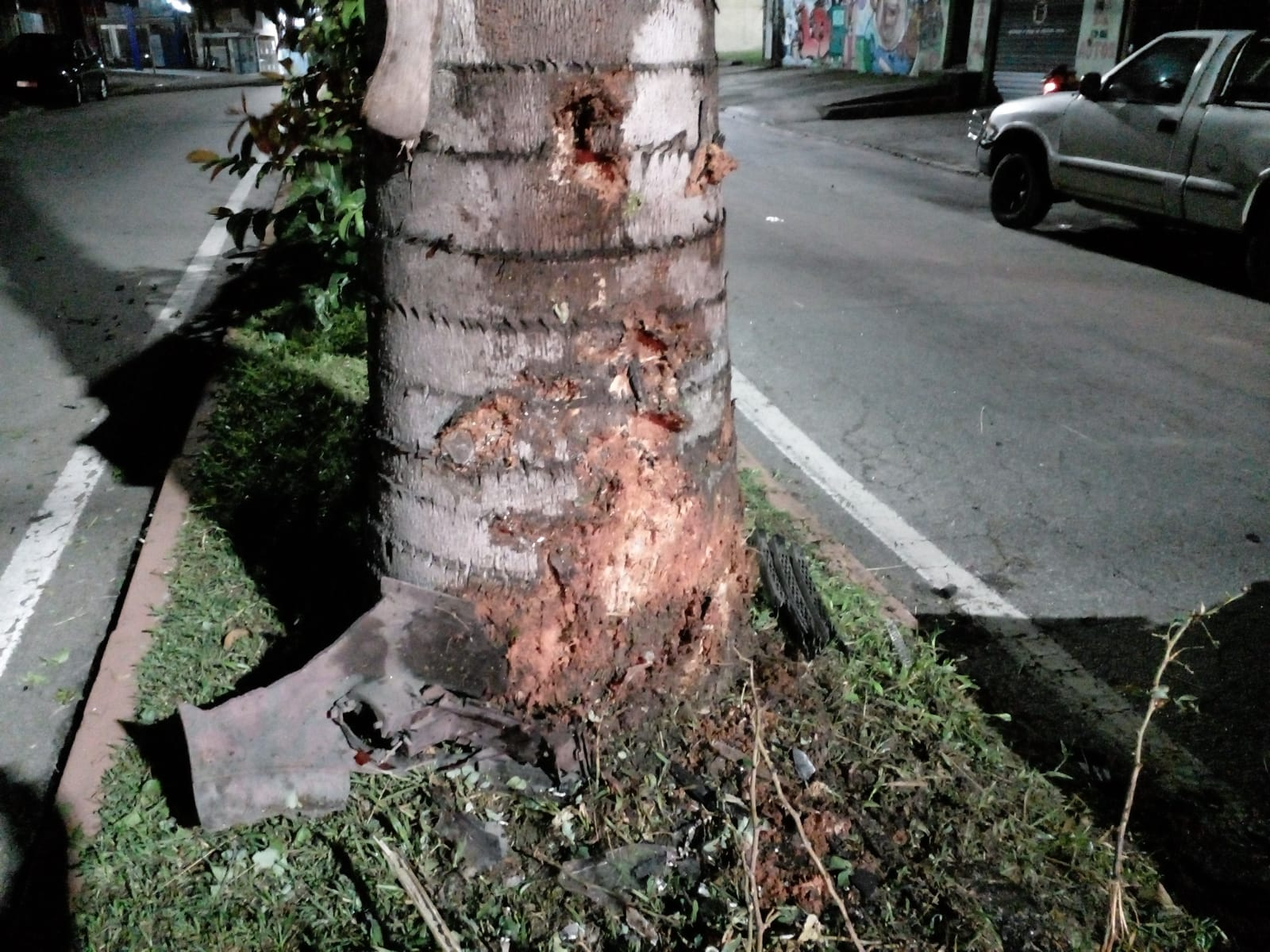 Homem morre após bater o carro em uma árvore em São José Divulgação/ Comunicação Social Vale