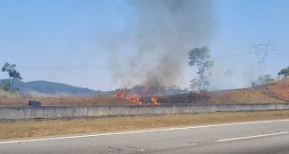 Vegetação degradada pelo fogo fica às margens da rodovia Divulgação / PM