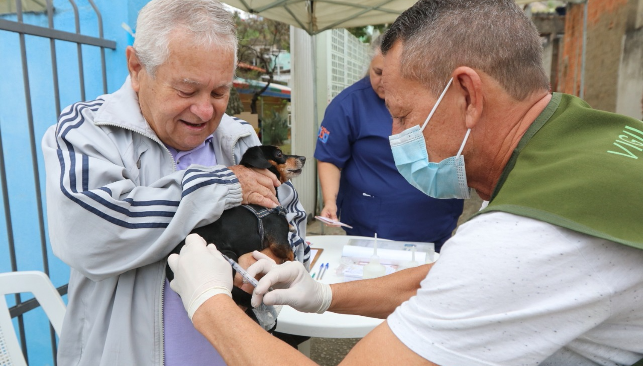 Equipes da Vigilância de Zoonoses aplicam a vacina antirrábica em cães e gatos, em Jacareí Divulgação/ PMJ