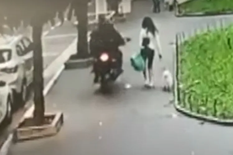 Bandidos atacam jovem que passeava na rua com o cachorro