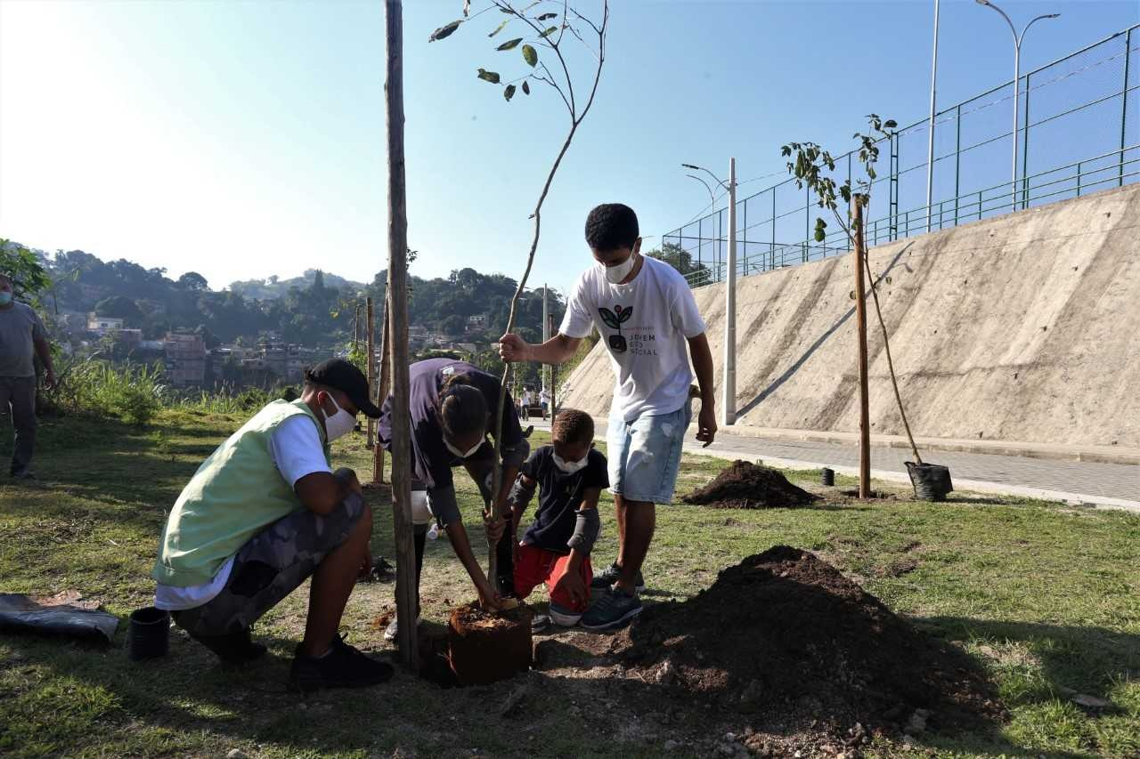 Planejamento é que 7.710 mudas sejam plantadas até 2024 Divulgação