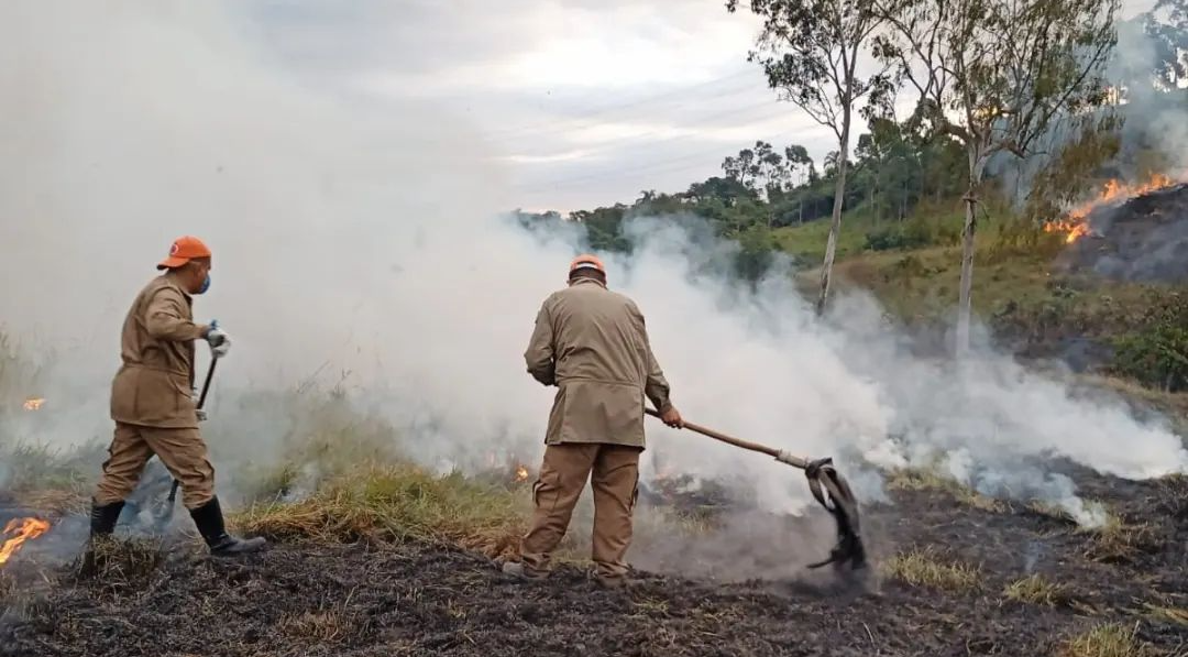 O fogo foi contido na madrugada desta quarta-feira (13) Divulgação/ Defesa Civil