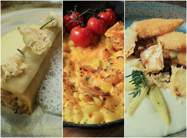 Saiba como fazer pratos com texturas de queijo