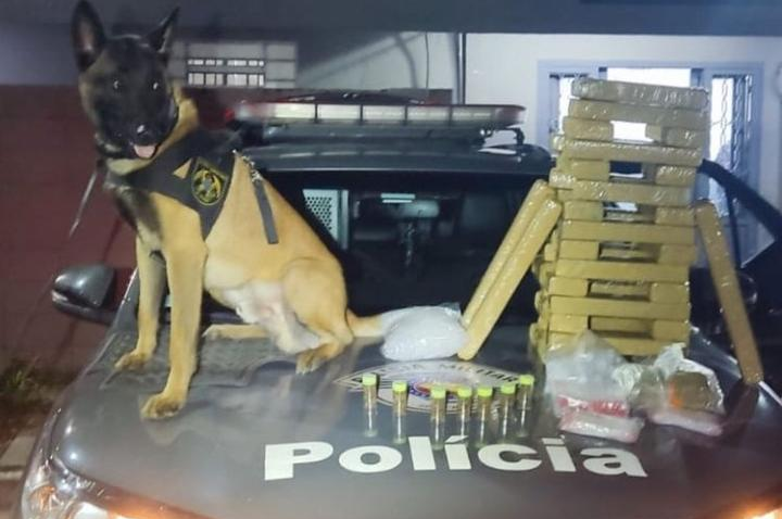 Cão farejador ajuda polícia a encontrar droga escondida em carro em São José dos Campos