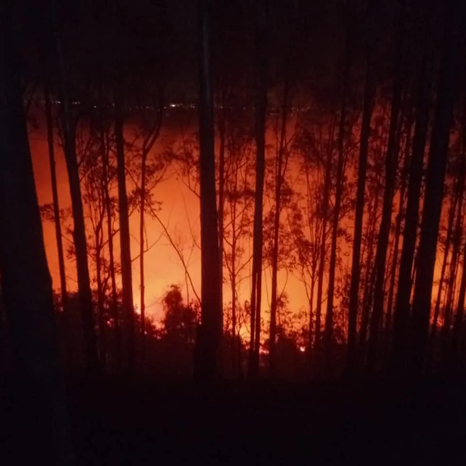 Combate ao fogo se estendeu até a madrugada de domingo Divulgação / Defesa Civil