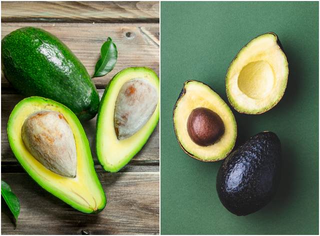 Saiba quais são as características do abacate e do avocado Envato Elements