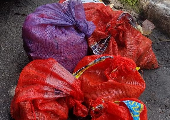 Dupla é multada por extração ilegal de ostras em Ubatuba