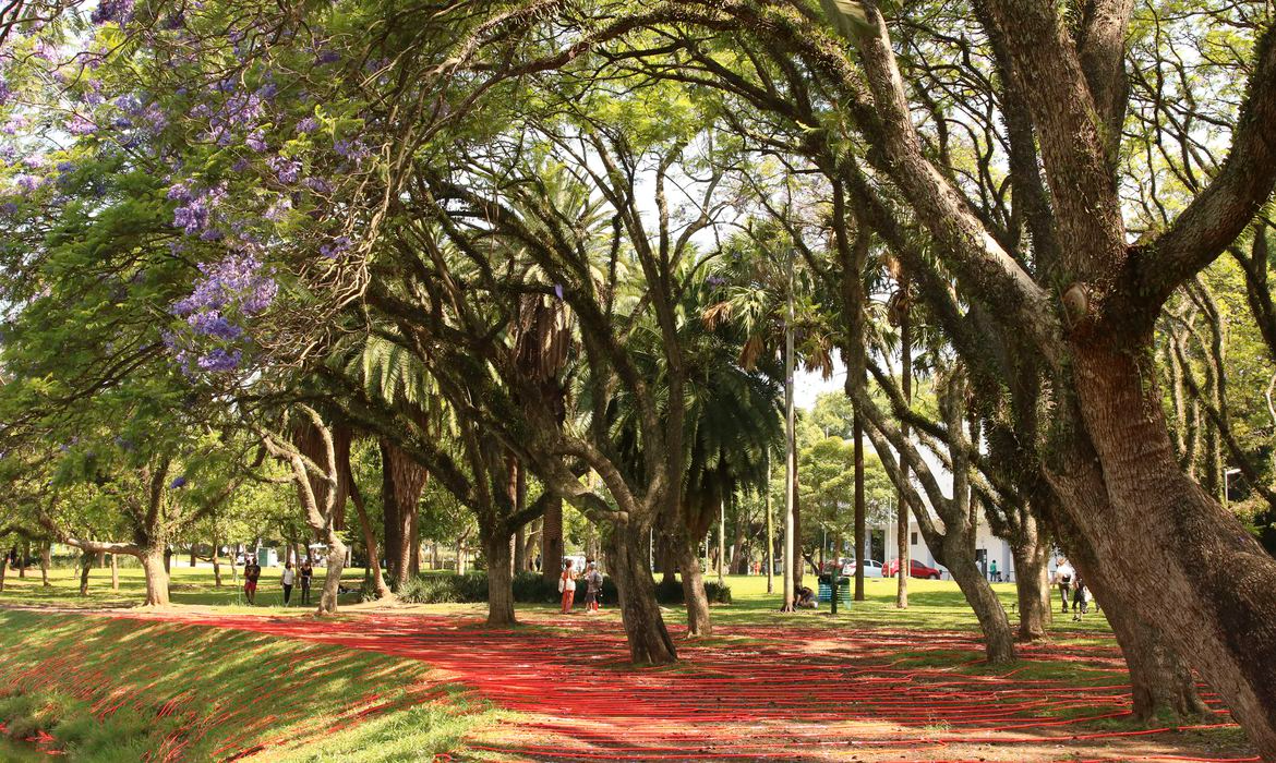 O Parque Ibirapuera começa programação especial em comemoração aos 68 anos de história. Foto: Rovena Rosa/Agência Brasil