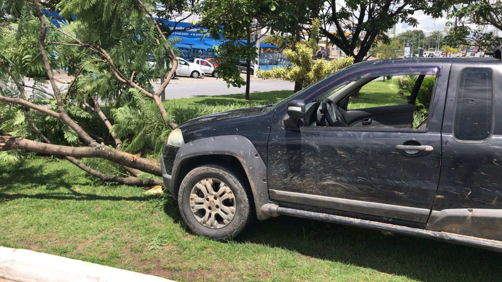 Homem é preso após colidir contra árvore em perseguição com polícia, em Taubaté