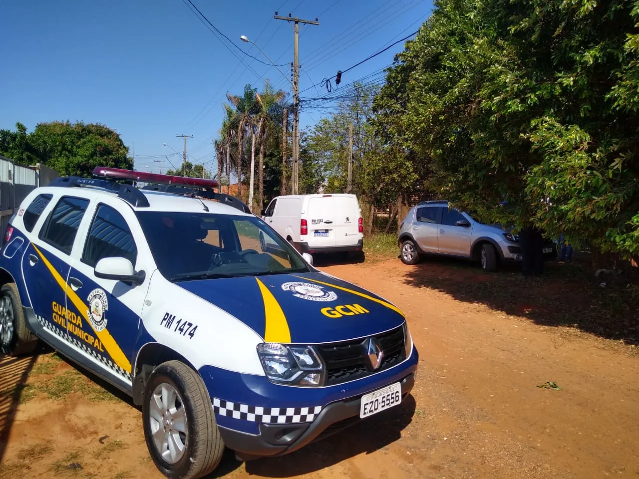 Os cães estavam em uma casa na Estância Alvorada