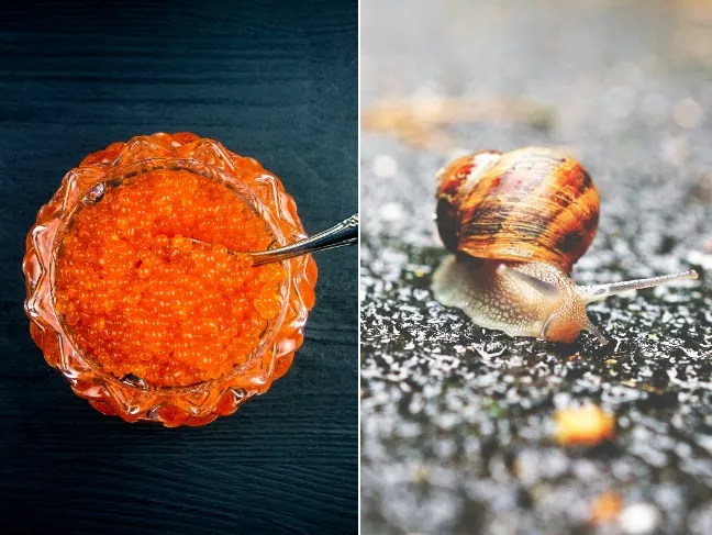 Você sabia que caviar e escargot já foram pratos populares? Entenda