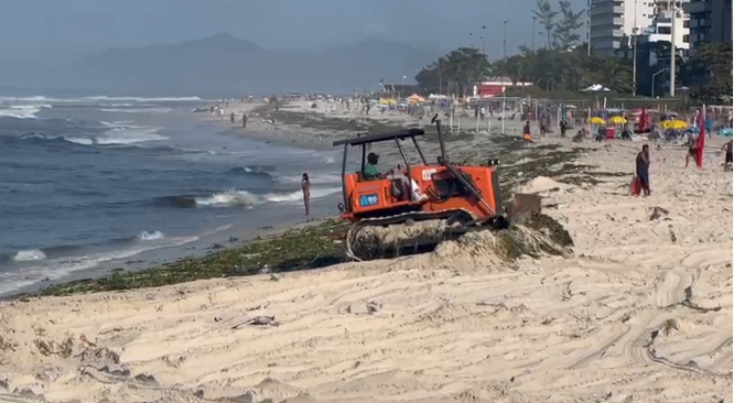 224 toneladas de gigogas tiradas da areia da praia da Barra da Tijuca divulgação