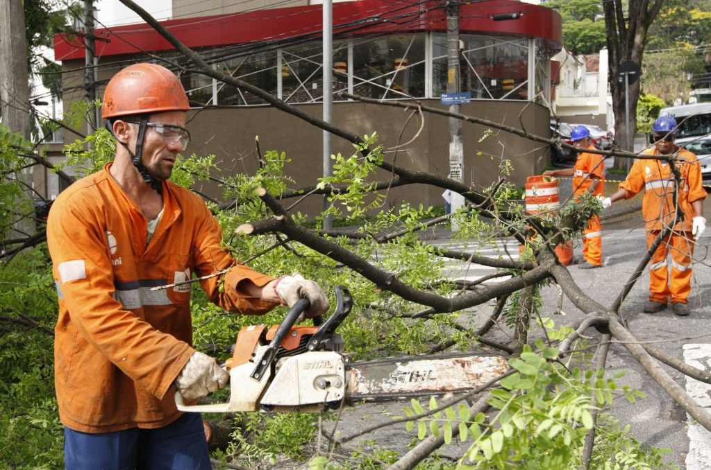 Poda de árvore em SP deve mudar Prefeitura de SP