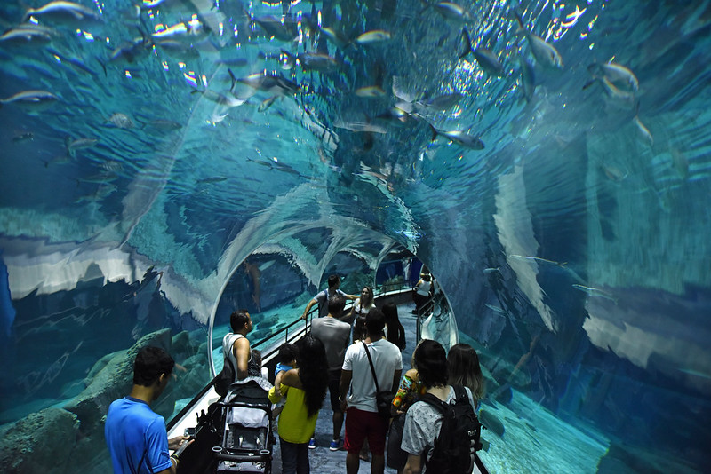 AquaRio será um dos lugares visitados pelo projeto Alexandre Macieira/Riotur