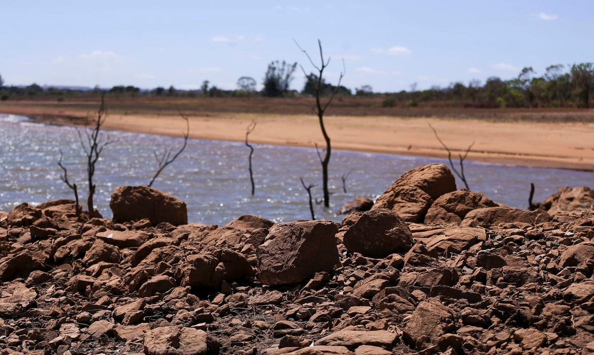 Mais de 200 mil propriedades agrícolas no RS têm perdas por conta da seca