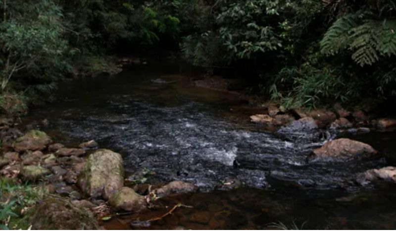 Casal desaparece após acampar em cachoeira em São Paulo Reprodução/José Cordeiro